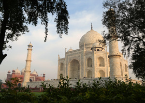 Taj-002