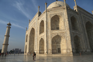 taj061